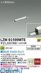 (LINEクーポン有)大光電機 DAIKO LZW-91599WTE ＬＥＤシステムライト LZW91599WTE 昼白色 屋外用スリムラインライト
