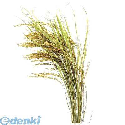 (LINEクーポン有)【造花・装飾】【数量限定につき、売切の際はご了承ください】 PANP8887 【10個入】稲穂