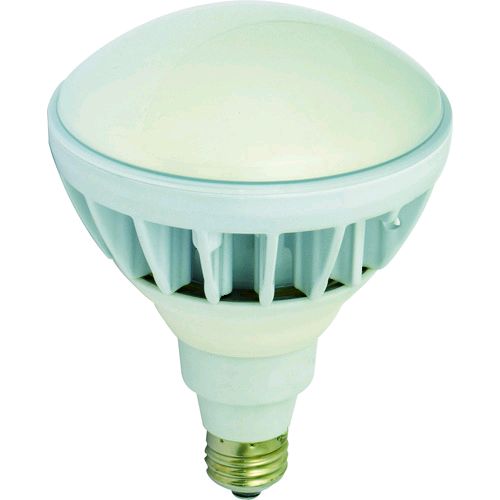 【即納在庫品】「直送」日動 L20W-JW110-50K LED交換球 ハイスペックエコビック20W E26 昼白色 L20WJW11050K 日動工業|測定器・工具のイーデンキ