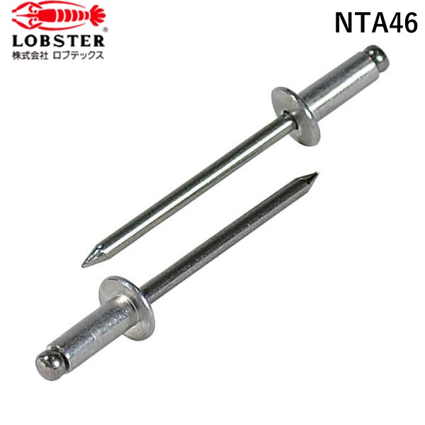 (LINEクーポン有)エビ NTA46 ブラインドリベット １０００本入 アルミニウム／ステンレス ４－６ ロブテックス 箱入 LOBSTER