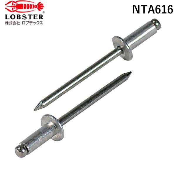 (LINEクーポン有)エビ NTA616 ブラインドリベット ５００本入 アルミニウム／ステンレス ６&minus;１６ ロブテックス 箱入 LOBSTER｜測定器・工具のイーデンキ