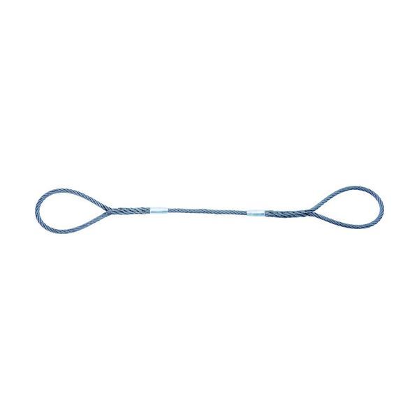 (LINEクーポン有)ＴＲＵＳＣＯ GRS-22S2 Wスリング ソフトタイプ ケーブルレイド 22mmX2．0m GRS22S2