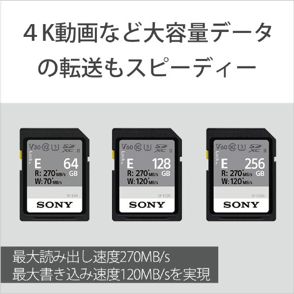 高い品質 楽天市場 Sony Sdカード 128gb Sf E128 Sfe128 Mgwp エディオン 楽天市場店 数量限定 特売 Www Lexusoman Com