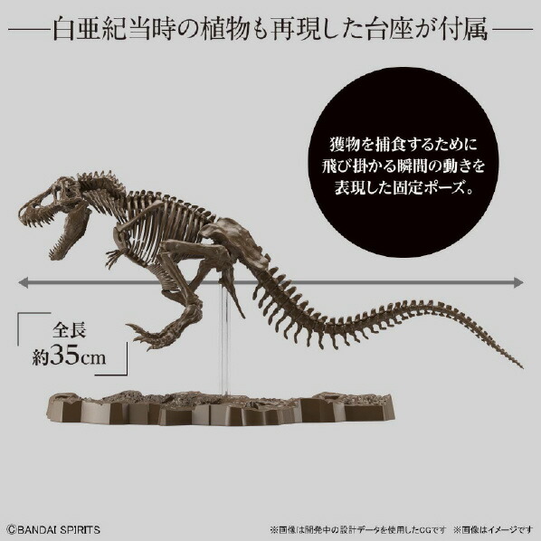 楽天市場 バンダイスピリッツ 1 32 Imaginary Skeleton ティラノサウルス Isﾃｲﾗﾉｻｳﾙｽ Isﾃｲﾗﾉｻｳﾙｽ エディオン 楽天市場店