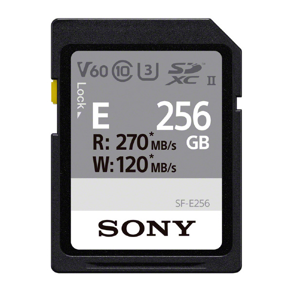 楽天カード分割 Sony Sdカード 256gb Sf E256 Sfe256 激安ブランド Atalhosemdermatologia Com Br