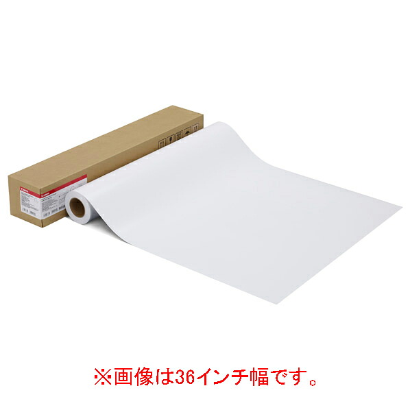 キヤノン キヤノン写真用紙･光沢 プロ(プラチナグレード) LFM-GPPT/42/300 [LFMGPPT42300]【JLMP】｜エディオン　店