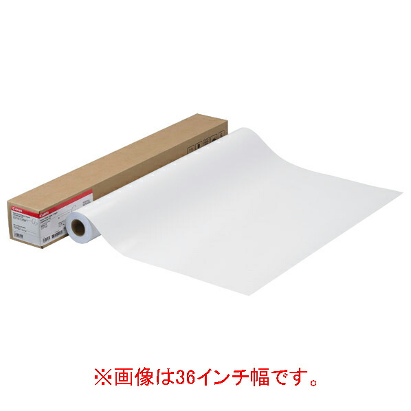 キヤノン スタンダード光沢紙 LFM-GPS/42/170 [LFMGPS42170]【ARMP】 27,473円