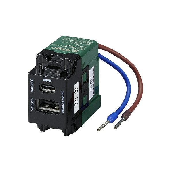 ヤザワ 埋込USBコンセントPD36W ブラック H4USB20PD36BK [H4USB20PD36BK]