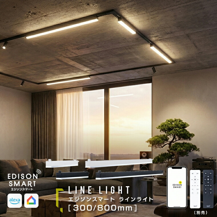 楽天市場】ダクトレール照明 エジソンスマート ラインライト 300mm