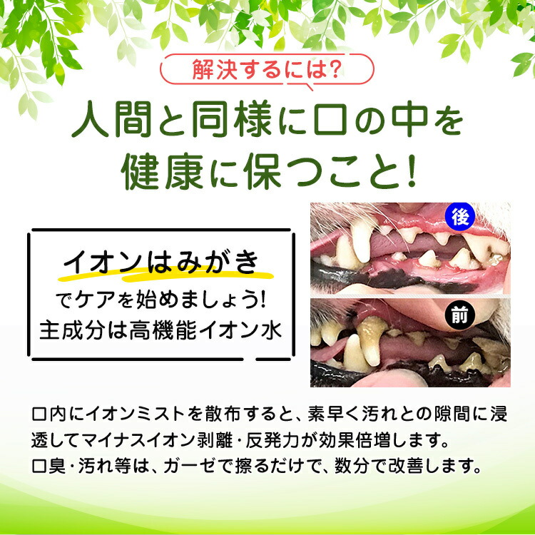 イオン 犬 デンタルケア 歯石 はみがき 犬用 歯磨き粉 2個ゼオ付きセット 犬デンタルケア イオン歯磨き 売れ筋ランキング１位 ペット用お手入れ用品  | crenteria.com