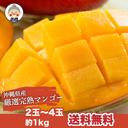 【お中元】沖縄産 完熟マンゴー 1kg 2-4玉 送料無料【予約受付中】リピーター続出の甘さ 暑中見舞いなど、ご贈答用としてもご利用頂けます。フルーツ 果物  ｜マンゴー ｜※7月中旬～順次発送