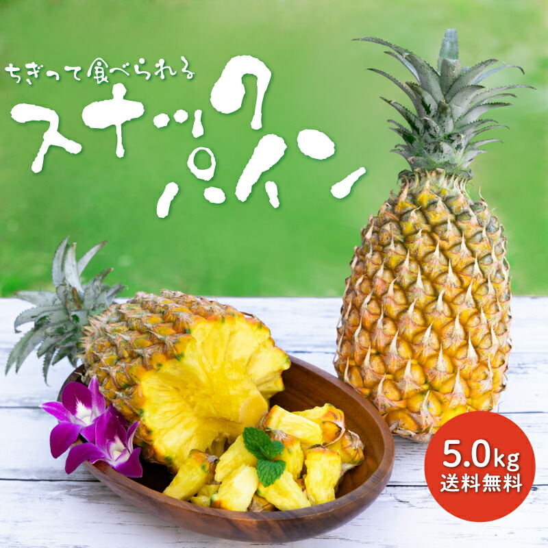 【楽天市場】【予約販売】スナックパイン 送料無料 沖縄県産 2.5kg（2～5玉）産地直送 フルーツ 果物(パイナップル)(お土産) 沖縄土産 通販  ご当地 スイーツ (ギフト)|パイン|【6月上旬から順次発送予定】※日時指定はできません！予めご了承下さい