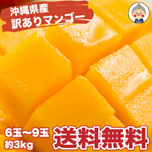 訳あり マンゴー 沖縄産 6-9玉 3kgセット 送料無料【予約受付中】リピーター続出の甘さ フルーツ 果物 お中元 贈り物｜マンゴ ｜※7月中旬～順次発送 ※発送時期は目安なので多少、前後する場合もございます。