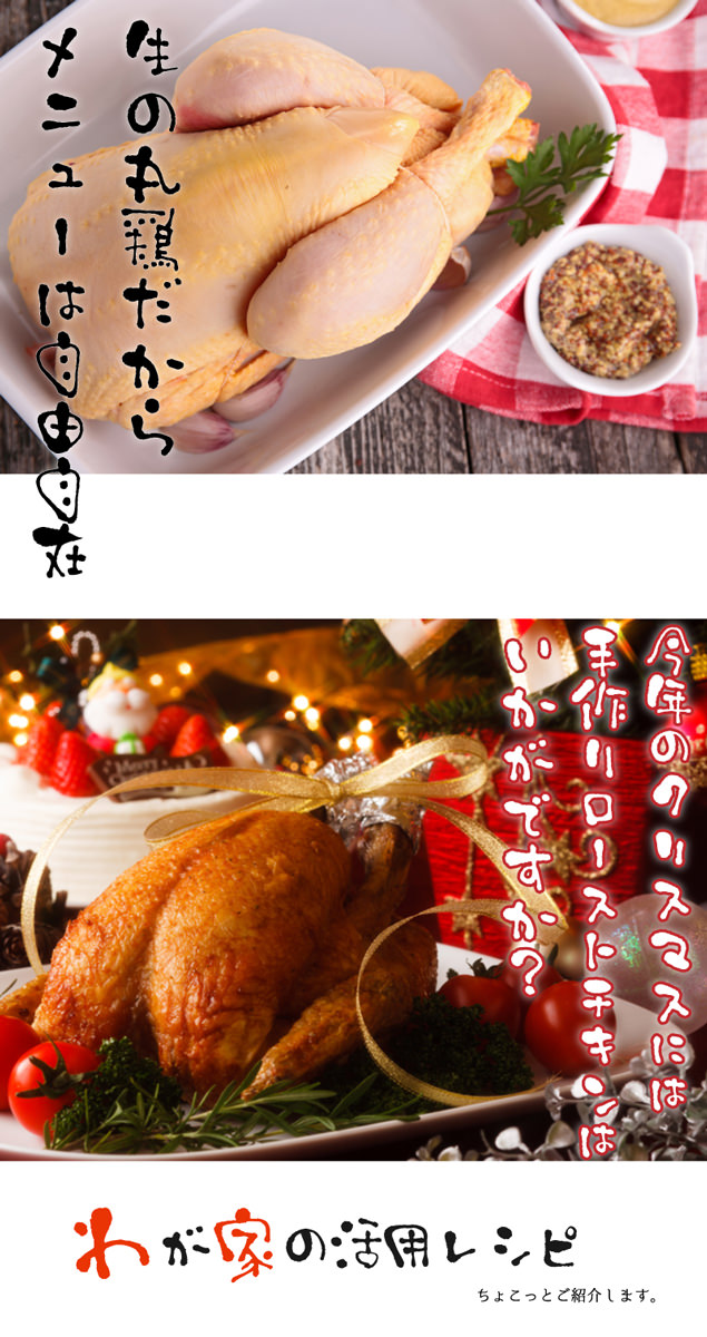 楽天市場 丸鳥 丸鶏 中抜き 丸ごと1羽 生 チキン クリスマスチキン 冷凍 鶏肉 ホールチキン 中抜き 1 1kg 鶏の丸焼き 参鶏湯 サムゲタン 用に ローストチキン クリスマスパーティー ホールチキン 沖縄お土産通販かまどおばぁの店