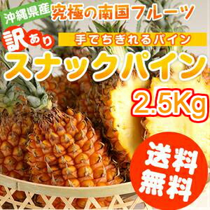 スナックパイン 送料無料 沖縄県産 2.5kg（2〜5玉）産地直送 フルーツ 果物(パイナップル)(お土産) 沖縄土産 通販 ご当地 訳あり スイーツ (ギフト)|パイン|※日時指定はできません！予めご了承下さい。