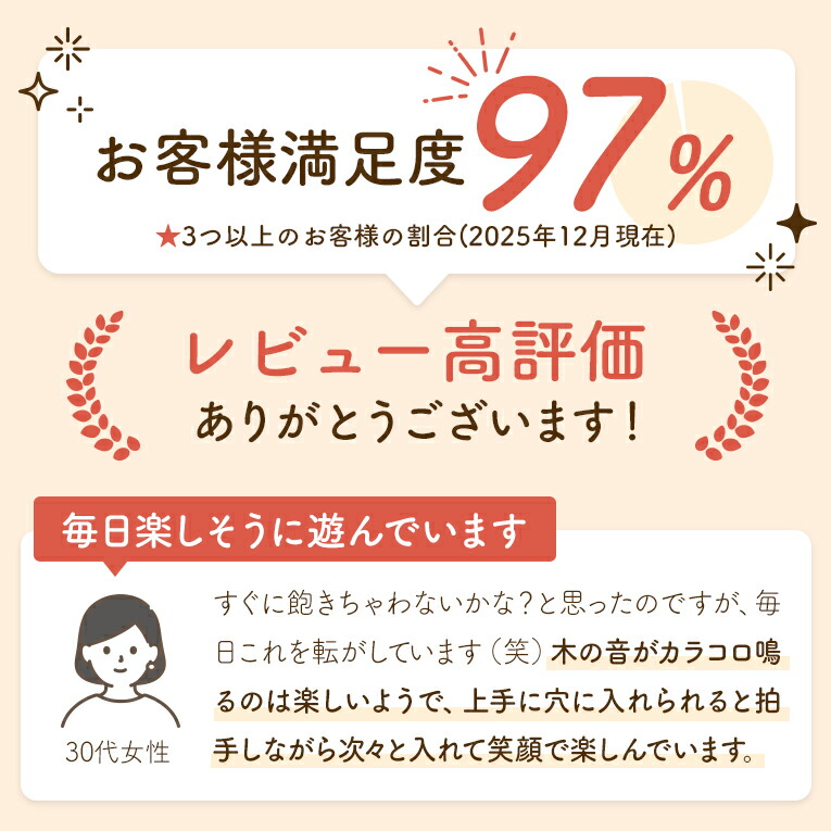 男の子 子ども Treeスロープ 知育玩具 木のおもちゃ 名入れ無料 赤ちゃん 子供 赤ちゃん 誕生日 出産祝い 木のおもちゃ 誕生日 知育玩具 スロープ 遊び 出産祝い エデュテ 1歳 ラッピング無料 2歳 誕生日プレゼント 知育玩具 天然木のおもちゃ 室内 1歳 送料無料 男 おもちゃ