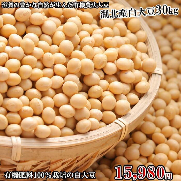 楽天1位 令和２年度産 大豆 おおつる 30kg 30キロ 送料込み 一部除く 有機肥料100 検査１等級相当 最高ランク取得 大粒 遺伝子組換でない オオツル 滋賀 琵琶湖 こだわり ダイズ 安心 安全 減農薬 通販 豆乳 ゆば イーネ 気質アップ