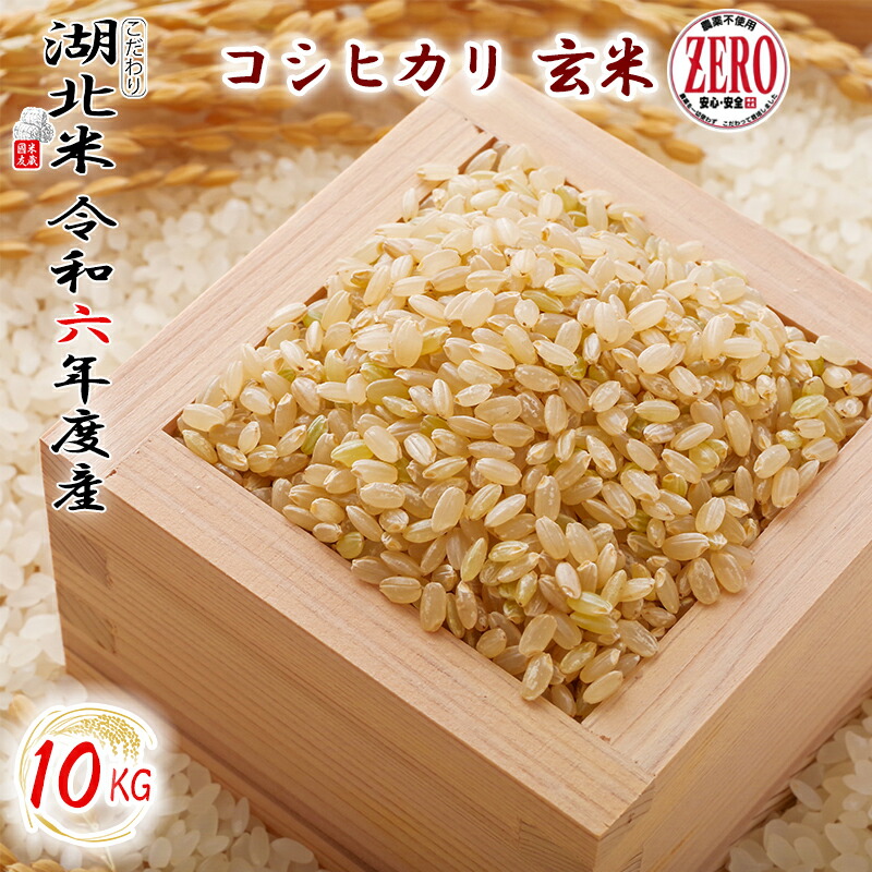 楽天市場】[令和6年度産] コシヒカリ [白米] 10kg お米 湖北