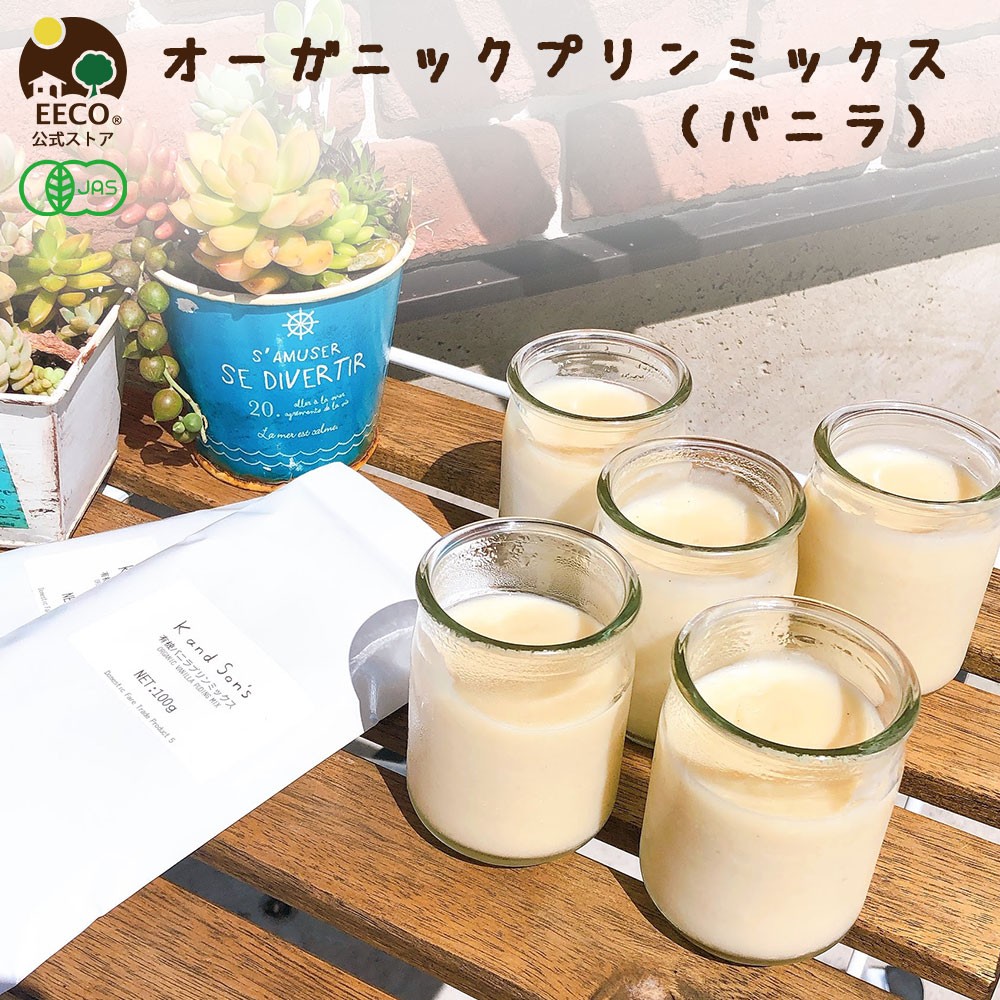 アイスチーズケーキ コンパスセット お取り寄せ