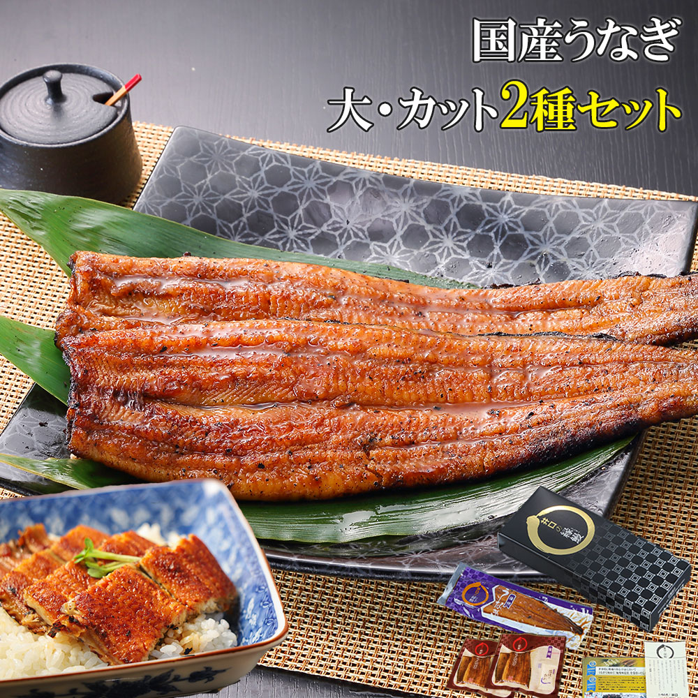 大人気新品 楽天市場】【うなぎの井口】 父の日 プレゼント ギフト 2025 蒲焼き