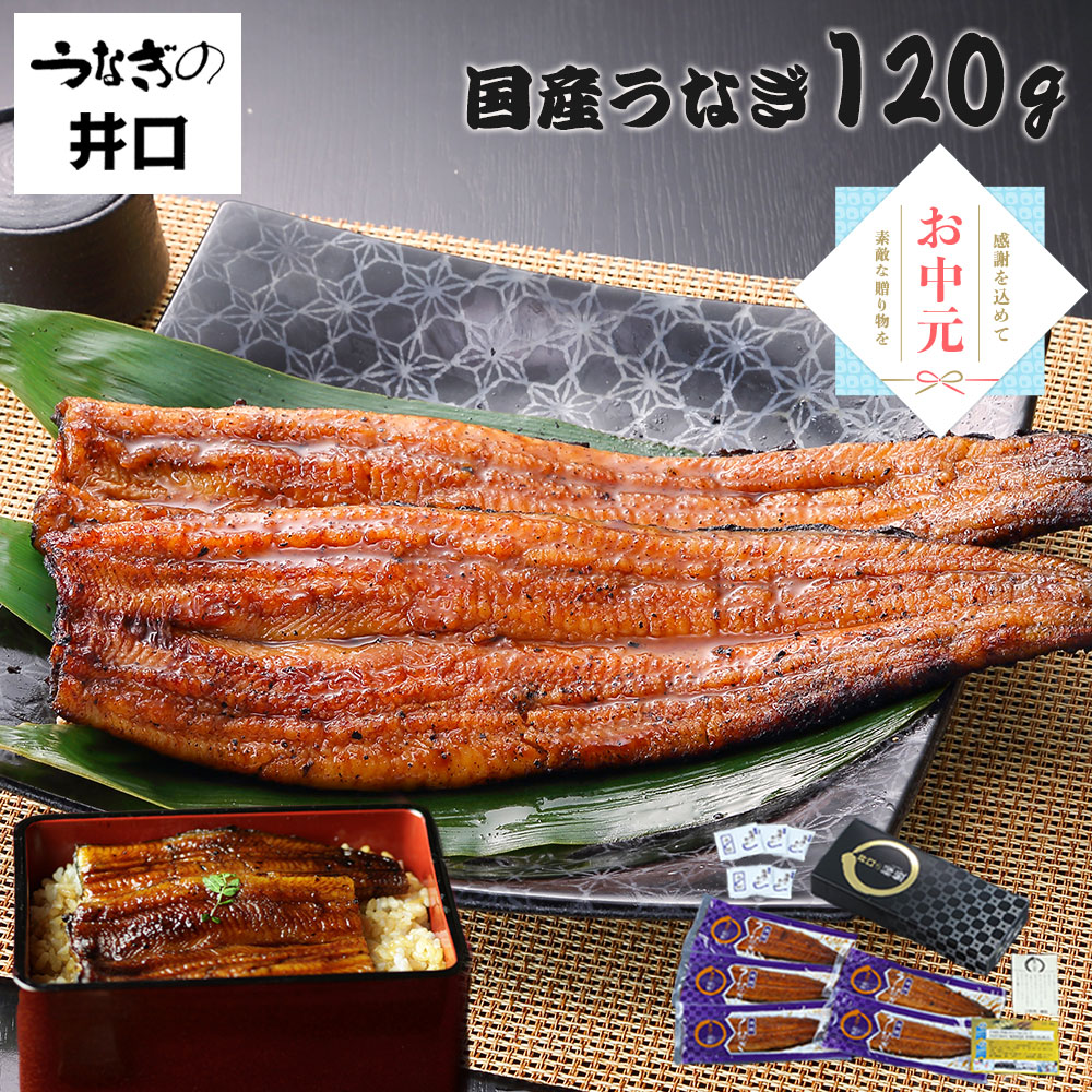 \ポイント3倍!/ お中元ギフト 2026 【うなぎの井口】 ギフト プレゼント うなぎ 国産 蒲焼き 浜松 かば焼き 120g 鰻 ウナギ 冷凍 詰め合わせ お取り寄せ グルメ 食べ物 冷凍便 土用の丑の日 誕生日プレゼント 内祝 お返し 送料無料 御中元 夏ギフト|EECO 店
