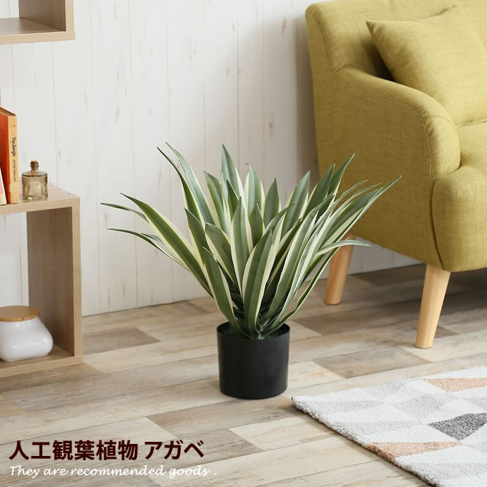 新着品目商品目録