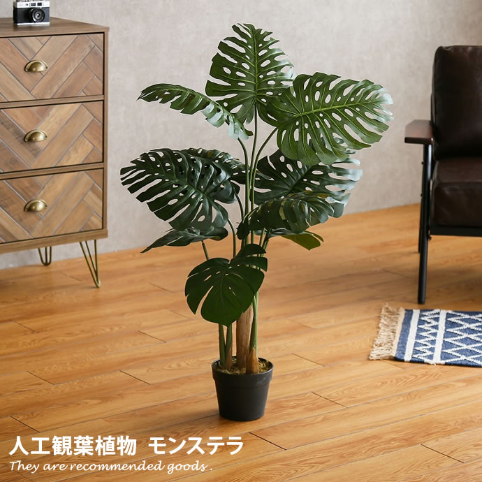 新着品目商品目録