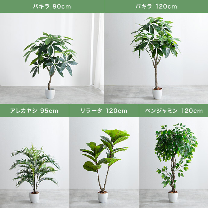 光触媒 人工観葉植物 ウォールグリーン フェイクグリーン パキラ1.0mj