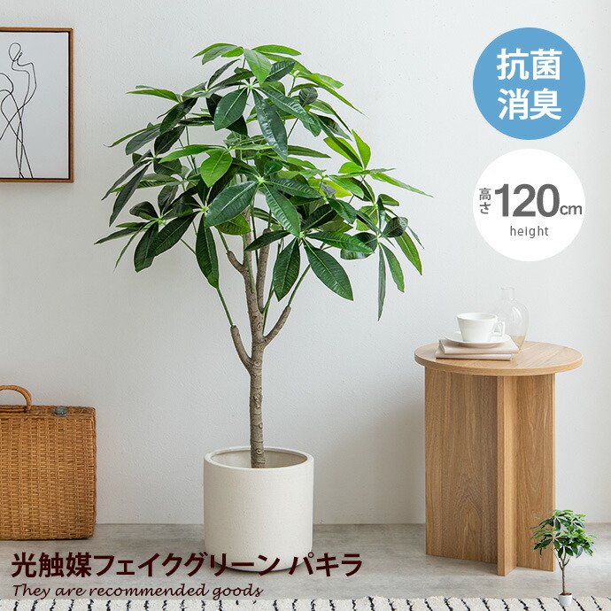 楽天市場】フェイクグリーン 人工観葉植物 人工植物 高さ1.1m