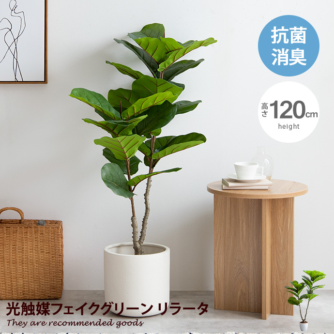 楽天市場】フェイクグリーン 人工観葉植物 人工植物 高さ1.1m