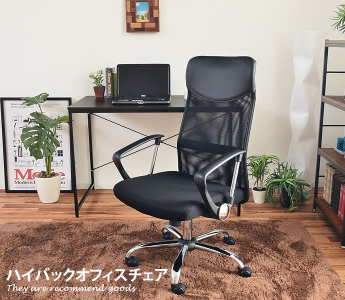 新着科目商品目録