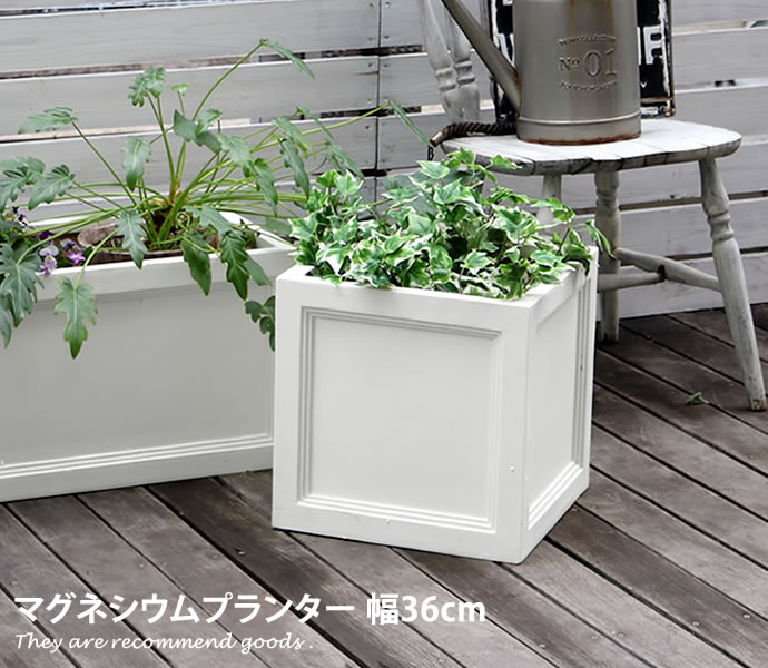 楽天市場】【MAX50％OFF! 2/4・2/5限定☆】マグネシウムプランター