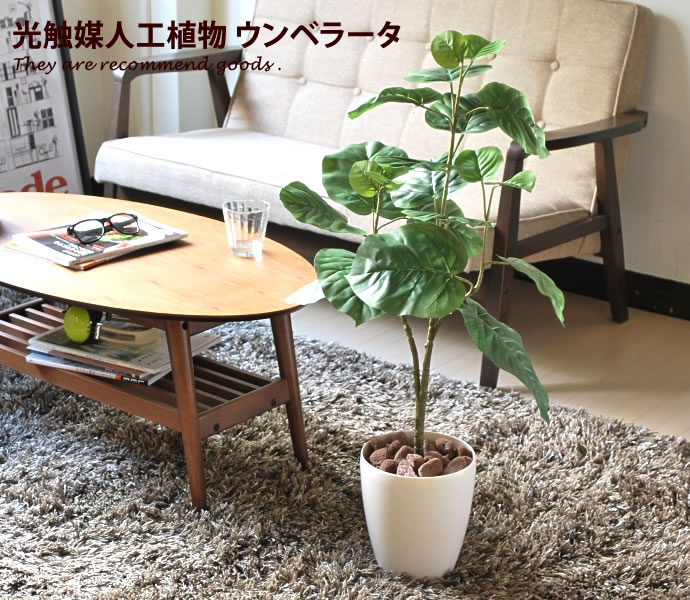 新着品目商品目録