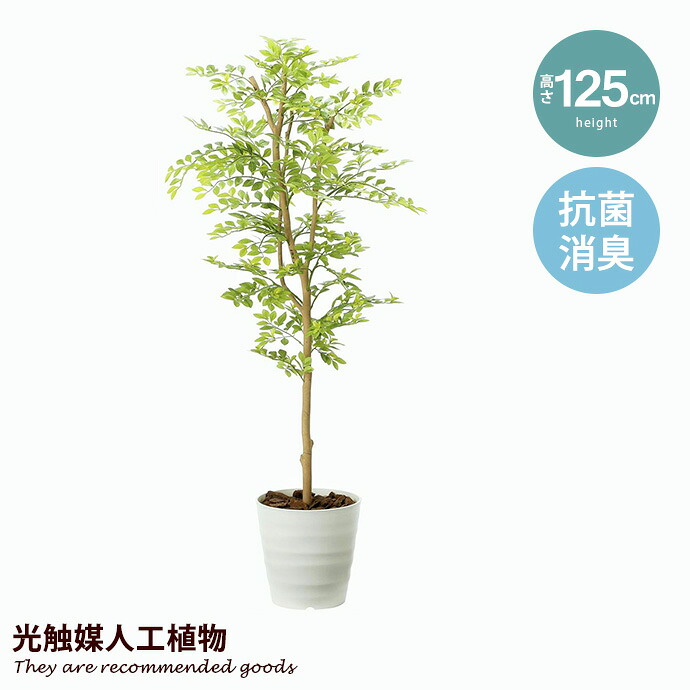 【MAX50％OFF! 7/25 0:00 ~ 7/26 1:59まで★】光触媒 観葉植物 ゴールデンリーフ 造花 防菌 グリーン 抗菌 シンプル タバコ 北欧 アートフラワー モダン 消臭 植物 ホルムアルデヒド 人工 人工植物 ペット｜インテリアショップ・イーナ