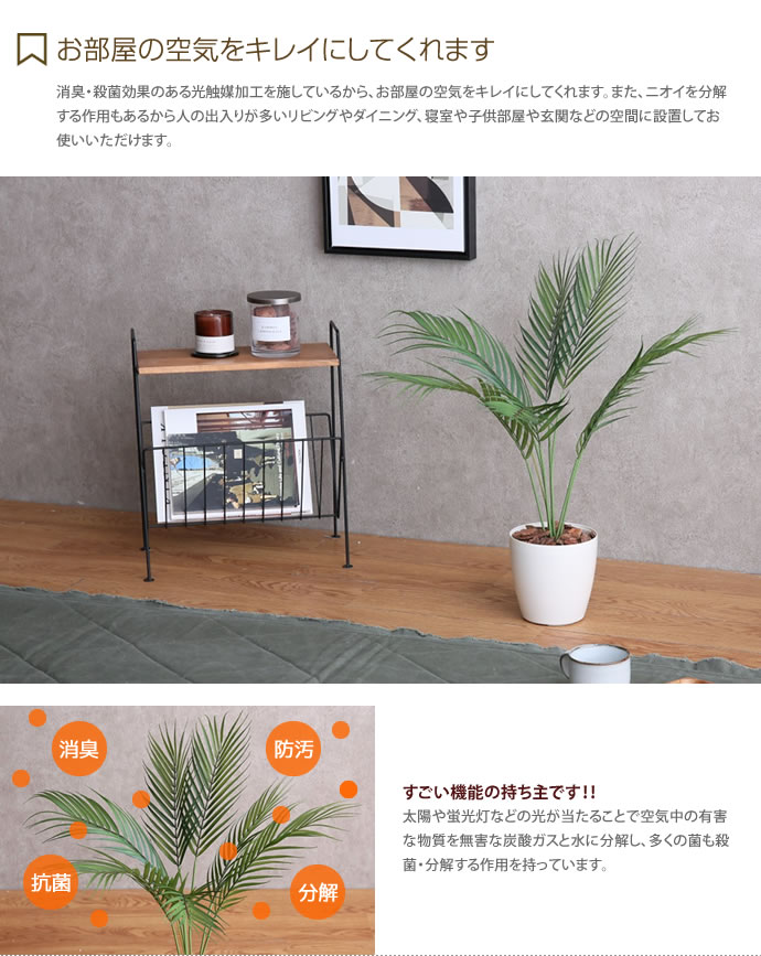 フェイクグリーン 人工植物 人工観葉植物 人工植物 造花 人工観葉植物 パームヤシ インテリア 光触媒 おしゃれ 消臭 V Cat 抗菌 造花 パームヤシ インテリアグリーン クーポンで15 Off 6 23 24 フェイクグリーン 人工観葉植物 光触媒 人工植物 造花 インテリア フェイクグリーン 人工植物 人工観葉植物 人工植物 造花 人工観葉植物 パームヤシ インテリア 光触媒 おしゃれ 消臭 V Cat 抗菌 造花 パームヤシ インテリアグリーン クーポンで15 Off 6 23 24 フェイクグリーン 人工観葉植物 光触媒 人工植物 造花 インテリア