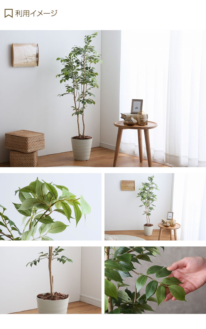 観葉植物 造花 人工観葉植物 フェイクグリーン 可愛い 人工観葉植物 光触媒 かわいい Brote花 ガーデン Diy 消臭 フェイクグリーン 高さ1 3m おしゃれ家具 造花 インドアグリーン 北欧 マウンテンアッシュ Brote インテリア 人気 防菌 おしゃれ クーポンで15 Off 6 観葉植物 造花 人工観葉植物 フェイクグリーン 可愛い 人工観葉植物 光触媒 かわいい Brote花 ガーデン Diy 消臭 フェイクグリーン 高さ1 3m おしゃれ家具 造花 インドアグリーン 北欧 マウンテンアッシュ Brote インテリア 人気 防菌 おしゃれ クーポンで15 Off 6