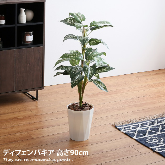 4 火 限定 店内全品16 Offクーポン配布中 光触媒 高さ90cm 観葉植物 フェイクグリーン グリーン 人工観葉植物 おしゃれ家具 おしゃれ 北欧 インテリア ディフェンバキア 造花 インドアグリーン 消臭 防菌 人気 可愛い かわいい Gras 光触媒 高さ90cm 観葉植物 フェイク