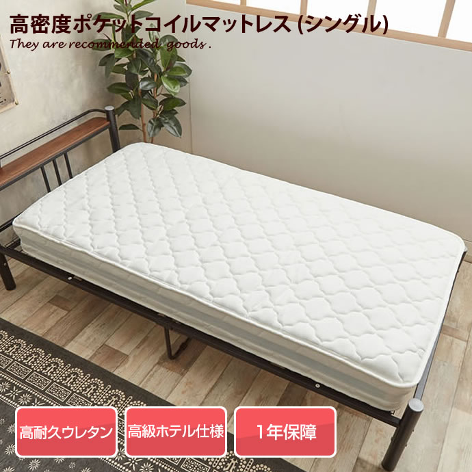 新着科目商品目録