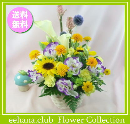 8桂月の生れでる佳境 ひまわり取り合わせる花言葉幸運3 500 貨物輸送無料 インターネット特価 画像付きスピーチ代替可 たあいないギフ 包み 楽ギフ メッセ 楽ギフ メッセインプット あす楽マッチ Foxunivers Com