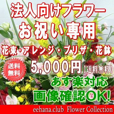 法人向けフラワー お祝い花専用フラワー5 000円 送料無料 あす楽対応 画像閲覧ok メッセージカード付き 楽ギフ メッセ 開店 退職 結婚祝い 新築 出産 フラワー 花 プレゼント あす楽 日曜営業 Giosenglish Com