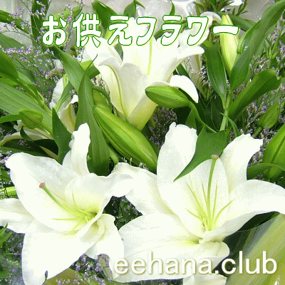 お悔やみやお供えの花束 アレンジ お供え専用フラワー30 000円 送料無料 花束 アレンジ 鉢物 プリザーブドフラワー お供え 法事 初盆 お盆 お悔やみ ご霊前 葬儀 通夜 Prescriptionpillsonline Is