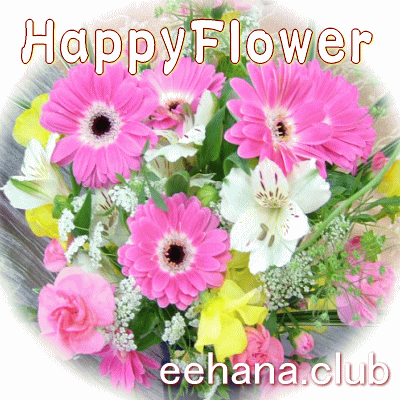お祝い花専用フラワーFlower12,000円【送料無料】 【花束・アレンジ・はちもの・プリザーブドフラワー】 【色指定可能♪赤・ピンク・イエロー・ブルー・パープル・オレンジ・ホワイト・MIX】