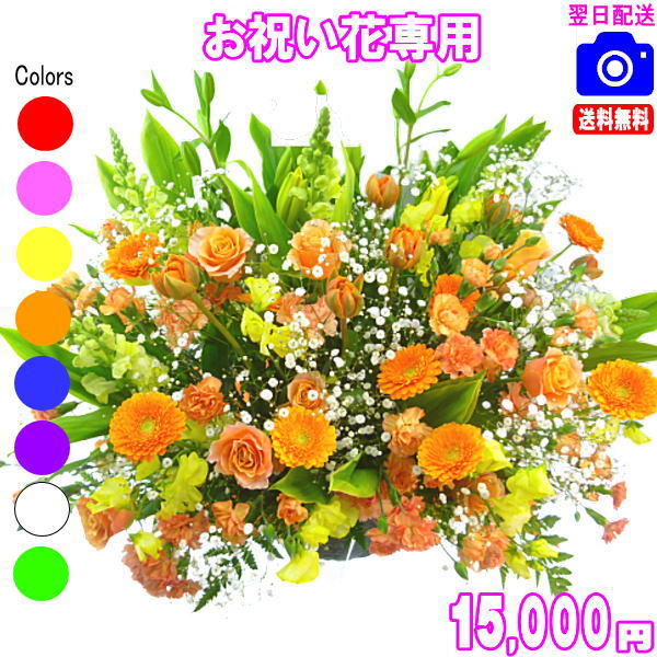 法人向けフラワー★お祝い花専用フラワー15,000円【送料無料】【対応】【画像閲覧OK！】【メッセージカード付き】【楽ギフ_メッセ】開店・退職・結婚祝い・新築・出産 フラワー 花 プレゼント【_日曜営業】｜いいＨａｎａ倶楽部