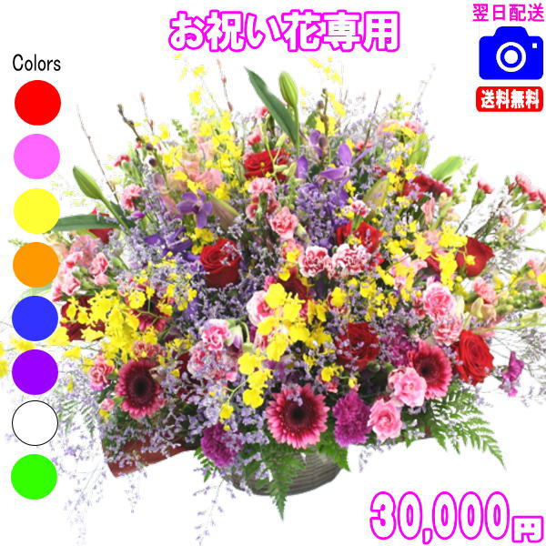 週末祝も取り引き！御祭り花専用おまかせ御花30,000円【貨物輸送無料】【相応う】【すがた絵読むこと差しゆるす！】【申したて歌留多付き添い人】【楽ギフ_ミサ】開店・引退・一緒になる祝賀会・営造・生み出すこと 御花  花 差し上げ物