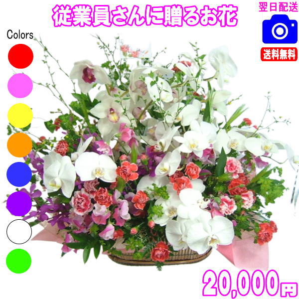 従業員用さんに贈る花★20,000円【送料無料】【対応】【楽ギフ_包装】【楽ギフ_メッセ】【楽ギフ_メッセ入力】｜いいＨａｎａ倶楽部