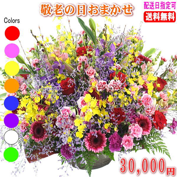 敬老の日専用デザイナーにおまかせフラワー★30,000円【送料無料】ネット特価！【メッセージカード付き】【楽ギフ_メッセ】｜いいＨａｎａ倶楽部