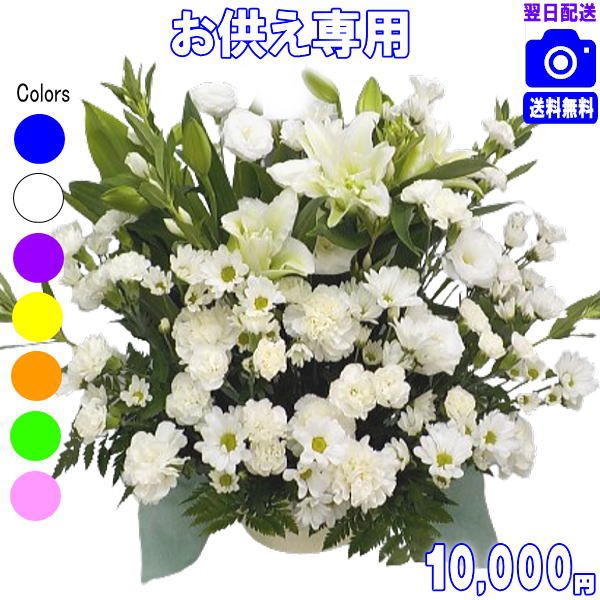 お供え お自責の念 御花差し上げ物【15時】週末祝も取り引き お悔やみに贈る花★お供え専用おまかせ御花10,000円【貨物輸送無料】【楽ギフ_荷造り】【楽ギフ_ミサ】【法事 お供え 御盆 お覚悟 お供え お悔やみ  御花申し合わせ 胸花愛玩動物のお供え】【即日送りとどける】