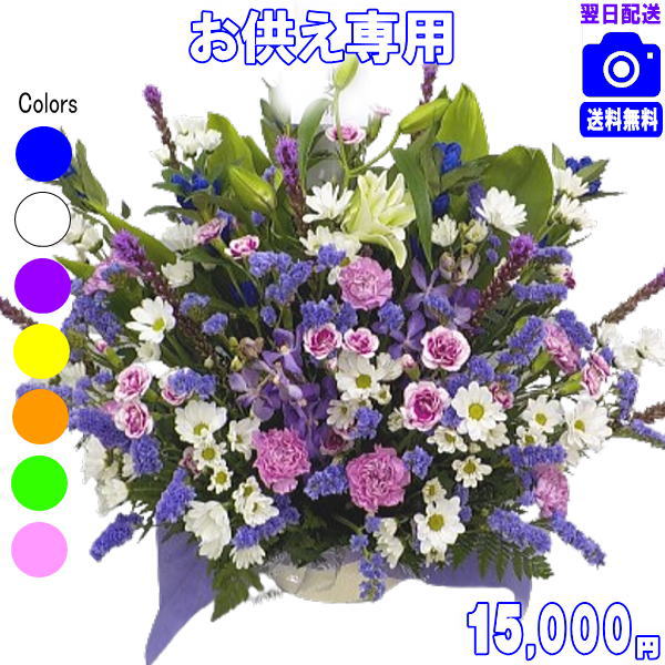 SNSで話題 MNHZ9HDXCK2 [MNHZ9HDXCK2]