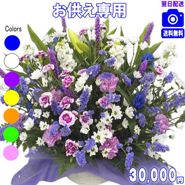 週末祝も取り引き【15時】お悔やみに贈る花★お供え専用おまかせ御花30,000円【貨物輸送無料】【楽ギフ_荷拵え】【楽ギフ_ミサ】【楽ギフ_ミサインプット】【相応う】【法事 お供え 御盆 お開悟 お供え お悔やみ 取りあわせる 胸花愛玩動物のお供え】【即日送りとどける】