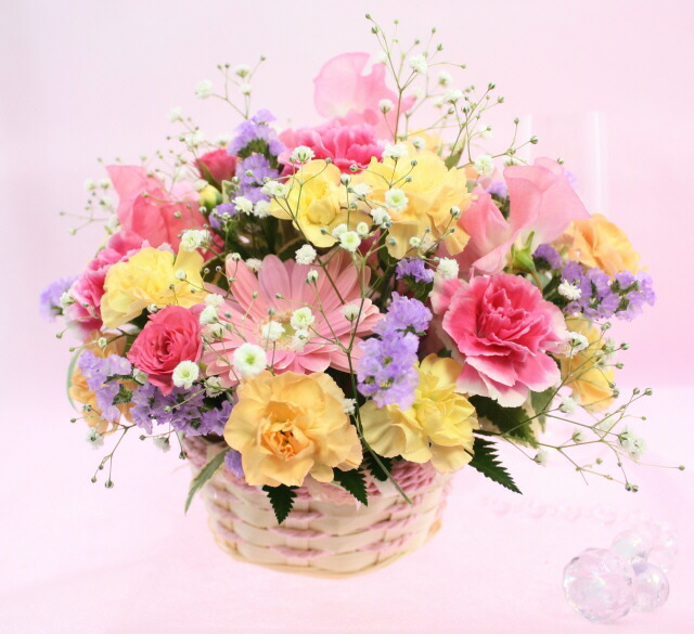 1月の誕生花 カラフルアレンジ3 500円 送料無料 写真付きメッセージ選択可 楽ギフ 包装 楽ギフ メッセ 楽ギフ メッセ入力 あす楽対応 Gmofwi Com